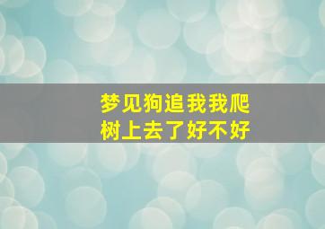 梦见狗追我我爬树上去了好不好