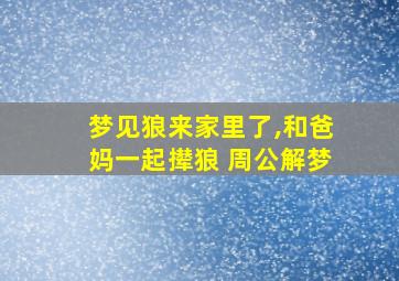 梦见狼来家里了,和爸妈一起撵狼 周公解梦