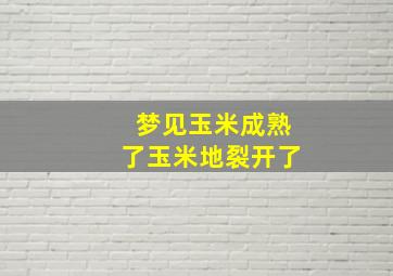 梦见玉米成熟了玉米地裂开了