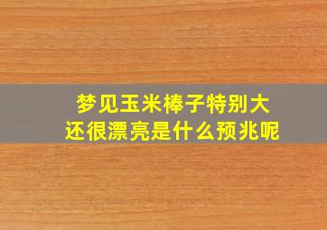 梦见玉米棒子特别大还很漂亮是什么预兆呢