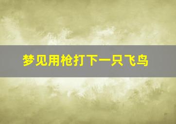 梦见用枪打下一只飞鸟