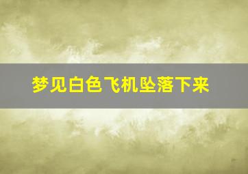 梦见白色飞机坠落下来