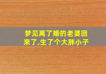 梦见离了婚的老婆回来了,生了个大胖小子