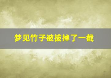 梦见竹子被拔掉了一截