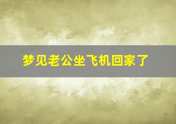 梦见老公坐飞机回家了