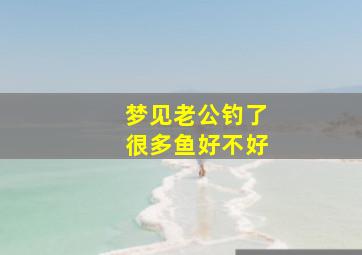 梦见老公钓了很多鱼好不好