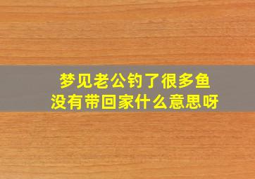 梦见老公钓了很多鱼没有带回家什么意思呀