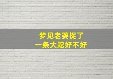 梦见老婆捉了一条大蛇好不好