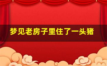 梦见老房子里住了一头猪