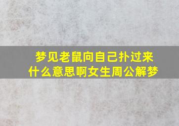 梦见老鼠向自己扑过来什么意思啊女生周公解梦