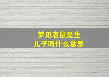 梦见老鼠是生儿子吗什么意思