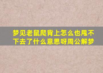 梦见老鼠爬背上怎么也甩不下去了什么意思呀周公解梦