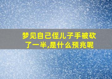 梦见自己侄儿子手被砍了一半,是什么预兆呢