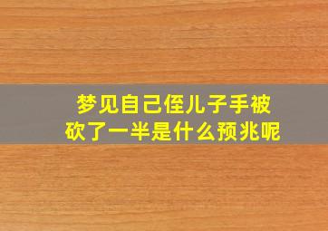 梦见自己侄儿子手被砍了一半是什么预兆呢