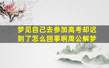 梦见自己去参加高考却迟到了怎么回事啊周公解梦