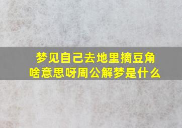 梦见自己去地里摘豆角啥意思呀周公解梦是什么