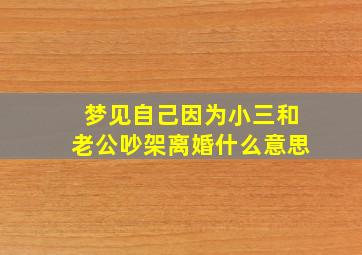 梦见自己因为小三和老公吵架离婚什么意思