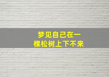 梦见自己在一棵松树上下不来