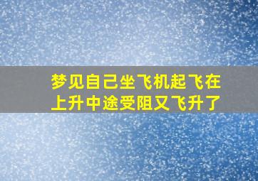 梦见自己坐飞机起飞在上升中途受阻又飞升了