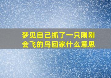 梦见自己抓了一只刚刚会飞的鸟回家什么意思