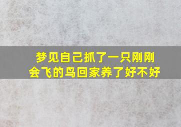 梦见自己抓了一只刚刚会飞的鸟回家养了好不好