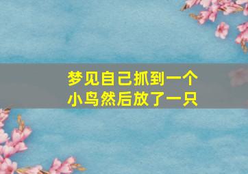 梦见自己抓到一个小鸟然后放了一只