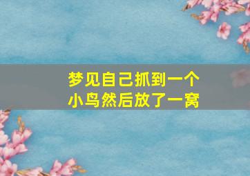 梦见自己抓到一个小鸟然后放了一窝