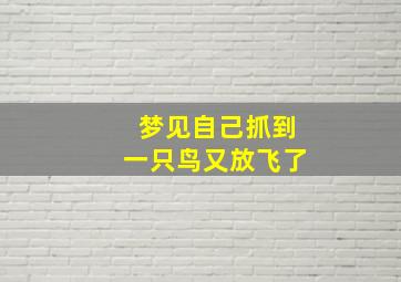 梦见自己抓到一只鸟又放飞了