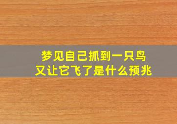 梦见自己抓到一只鸟又让它飞了是什么预兆