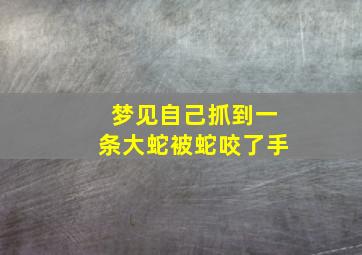 梦见自己抓到一条大蛇被蛇咬了手