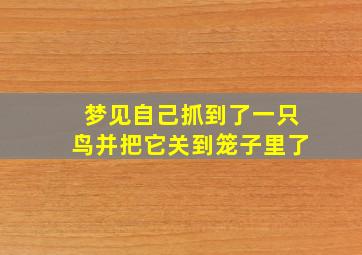 梦见自己抓到了一只鸟并把它关到笼子里了