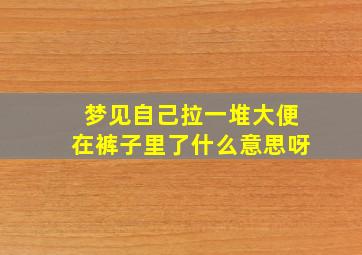 梦见自己拉一堆大便在裤子里了什么意思呀