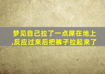 梦见自己拉了一点屎在地上,反应过来后把裤子拉起来了