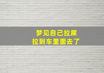 梦见自己拉屎拉到车里面去了