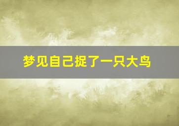 梦见自己捉了一只大鸟