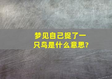 梦见自己捉了一只鸟是什么意思?