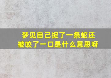 梦见自己捉了一条蛇还被咬了一口是什么意思呀