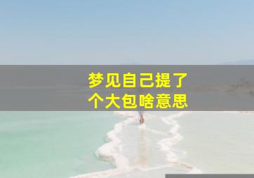 梦见自己提了个大包啥意思