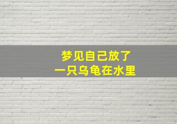 梦见自己放了一只乌龟在水里