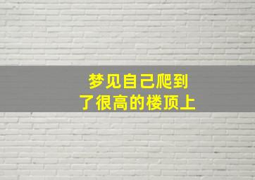 梦见自己爬到了很高的楼顶上