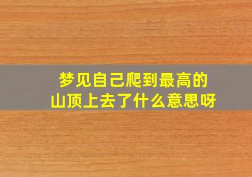 梦见自己爬到最高的山顶上去了什么意思呀