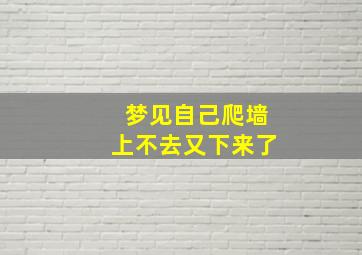 梦见自己爬墙上不去又下来了