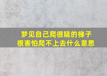 梦见自己爬很陡的梯子很害怕爬不上去什么意思