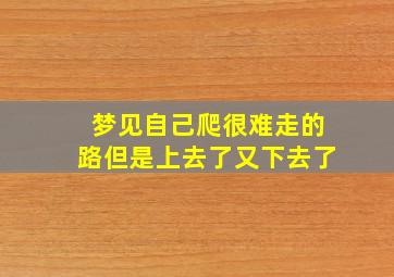 梦见自己爬很难走的路但是上去了又下去了