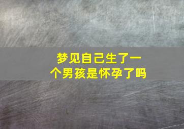 梦见自己生了一个男孩是怀孕了吗