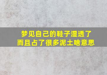 梦见自己的鞋子湿透了而且占了很多泥土啥意思