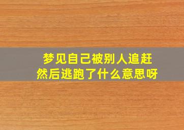 梦见自己被别人追赶然后逃跑了什么意思呀