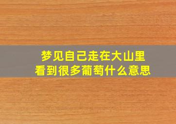 梦见自己走在大山里看到很多葡萄什么意思