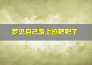 梦见自己路上拉粑粑了