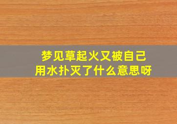 梦见草起火又被自己用水扑灭了什么意思呀